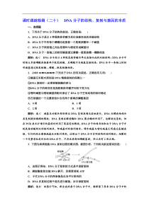高考生物一轮课时跟踪检测（二十） DNA分子的结构、复制与基因的本质 Word版含解析