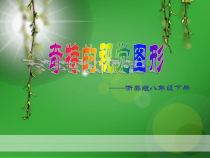 《8.奇特的视觉图形》PPT课件6-八年级美术下册浙人美版