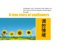 心理课控制情绪课件