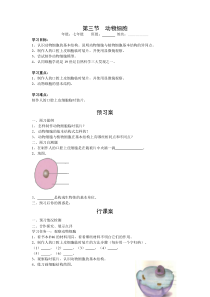 第三节《动物细胞》精品学案-七年级生物上册【人教版】