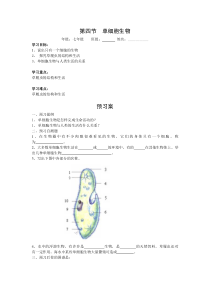 第四节《单细胞生物》精品学案-七年级生物上册【人教版】
