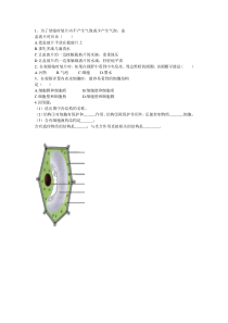 2.1.2《植物细胞》随堂练习-七年级生物上册【人教版】