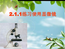 2.1.1《练习使用显微镜》PPT课件1-七年级生物上册【人教版】