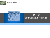 1.1.2《调查周边环境中的生物》PPT课件3-七年级生物上册【人教版】