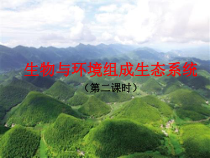 1.2.2《生物与环境组成生态系统》PPT课件3-七年级生物上册【人教版】