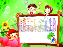 1.1.2《调查周边环境中的生物》PPT课件6-七年级生物上册【人教版】