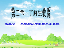 1.2.2《生物与环境组成生态系统》PPT课件4-七年级生物上册【人教版】
