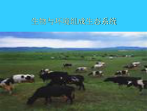 1.2.2《生物与环境组成生态系统》PPT课件6-七年级生物上册【人教版】