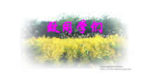《致同学们》PPT课件8-七年级生物上册【人教版】
