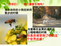 《致同学们》PPT课件4-七年级生物上册【人教版】