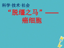 《科学·技术·社会-“脱缰之马”——癌细胞》PPT课件4-七年级生物上册【人教版】