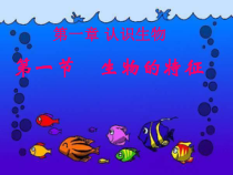 1.1.1《生物的特征》PPT课件3-七年级生物上册【人教版】