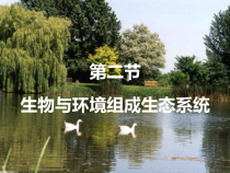 1.2.2《生物与环境组成生态系统》PPT课件5-七年级生物上册【人教版】
