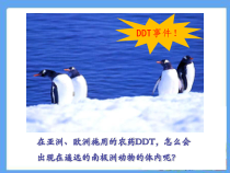 1.2.3《生物圈是最大的生态系统》PPT课件1-七年级生物上册【人教版】