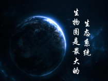 1.2.3《生物圈是最大的生态系统》PPT课件4-七年级生物上册【人教版】