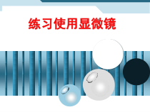 2.1.1《练习使用显微镜》PPT课件3-七年级生物上册【人教版】