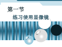 2.1.1《练习使用显微镜》PPT课件6-七年级生物上册【人教版】