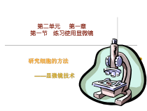 2.1.1《练习使用显微镜》PPT课件7-七年级生物上册【人教版】