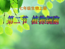 2.1.2《植物细胞》PPT课件4-七年级生物上册【人教版】