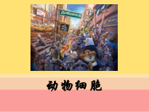 2.1.3《动物细胞》PPT课件1-七年级生物上册【人教版】