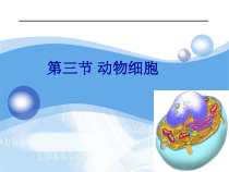 2.1.3《动物细胞》PPT课件5-七年级生物上册【人教版】