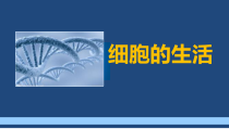 2.1.4《细胞的生活》PPT课件1-七年级生物上册【人教版】