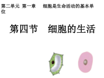 2.1.4《细胞的生活》PPT课件2-七年级生物上册【人教版】