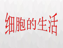 2.1.4《细胞的生活》PPT课件5-七年级生物上册【人教版】