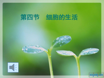 2.1.4《细胞的生活》PPT课件6-七年级生物上册【人教版】