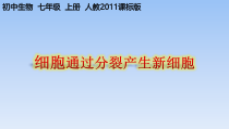2.2.1《细胞通过分裂产生新细胞》PPT课件1-七年级生物上册【人教版】