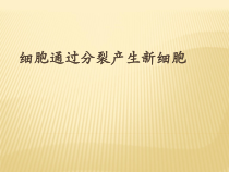 2.2.1《细胞通过分裂产生新细胞》PPT课件2-七年级生物上册【人教版】