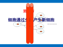 2.2.1《细胞通过分裂产生新细胞》PPT课件3-七年级生物上册【人教版】