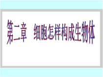 2.2.1《细胞通过分裂产生新细胞》PPT课件4-七年级生物上册【人教版】