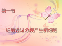 2.2.1《细胞通过分裂产生新细胞》PPT课件6-七年级生物上册【人教版】