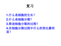 2.2.2《动物体的结构层次》PPT课件3-七年级生物上册【人教版】