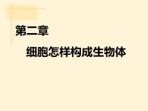 2.2.2《动物体的结构层次》PPT课件4-七年级生物上册【人教版】