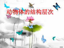 2.2.2《动物体的结构层次》PPT课件5-七年级生物上册【人教版】