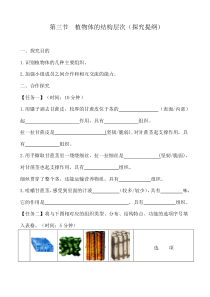 2.2.3《植物体的结构层次》导学案-七年级生物上册【人教版】