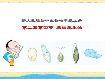 2.2.4《单细胞生物》PPT课件1-七年级生物上册【人教版】