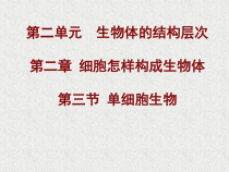 2.2.4《单细胞生物》PPT课件4-七年级生物上册【人教版】