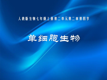 2.2.4《单细胞生物》PPT课件6-七年级生物上册【人教版】
