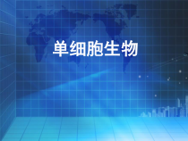 2.2.4《单细胞生物》PPT课件7-七年级生物上册【人教版】