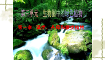 3.1.1《藻类、苔藓和蕨类植物》PPT课件3-七年级生物上册【人教版】