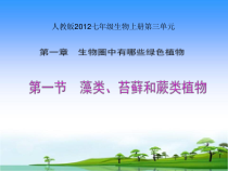 3.1.1《藻类、苔藓和蕨类植物》PPT课件4-七年级生物上册【人教版】