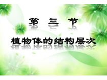 2.2.3《植物体的结构层次》PPT课件6-七年级生物上册【人教版】