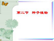 3.1.2《种子植物》PPT课件1-七年级生物上册【人教版】