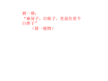 3.1.2《种子植物》PPT课件4-七年级生物上册【人教版】