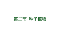 3.1.2《种子植物》PPT课件5-七年级生物上册【人教版】