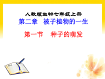 3.2.1《种子的萌发》PPT课件1-七年级生物上册【人教版】