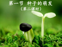 3.2.1《种子的萌发》PPT课件3-七年级生物上册【人教版】